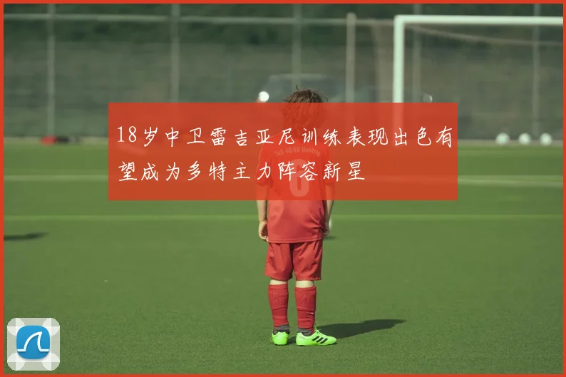 18岁中卫雷吉亚尼训练表现出色有望成为多特主力阵容新星