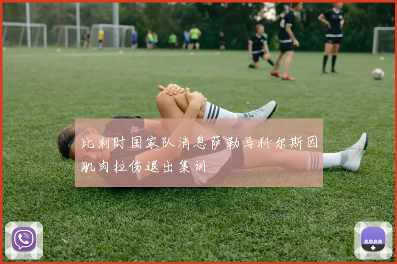 比利时国家队消息萨勒马科尔斯因肌肉拉伤退出集训