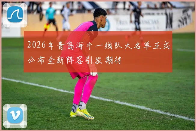 2026年青岛海牛一线队大名单正式公布全新阵容引发期待