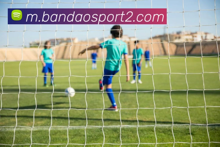 半岛体育平台生态图