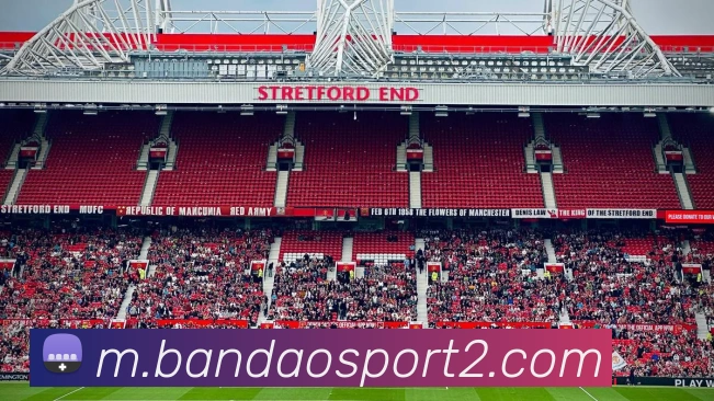 半岛体育全站App